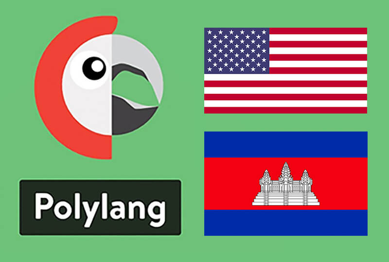Use custom designed flags in Polylang